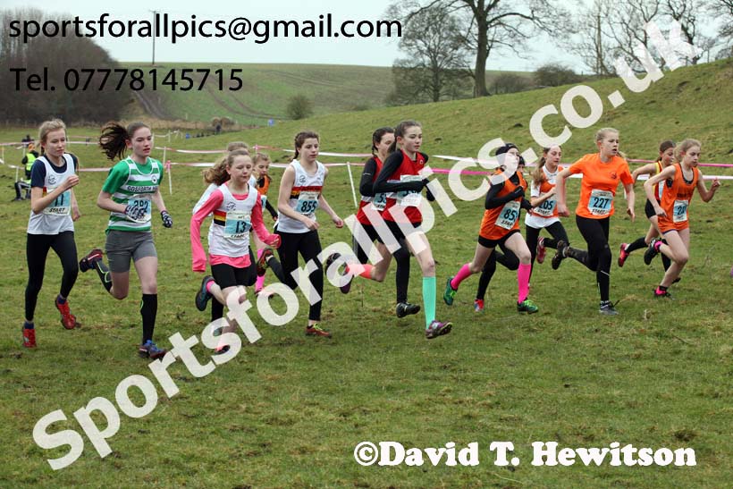 Girls under-13s, Start Fitness NEHL, Thornley Hill Farm, Peterlee, County Durham. Photo: David T. Hewitson/Sports for All Pics